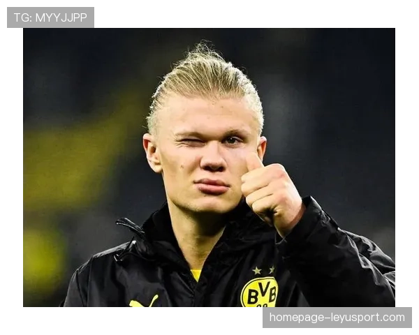 哈兰德高效进球背后：技术与战术的完美结合，哈兰德精彩进球